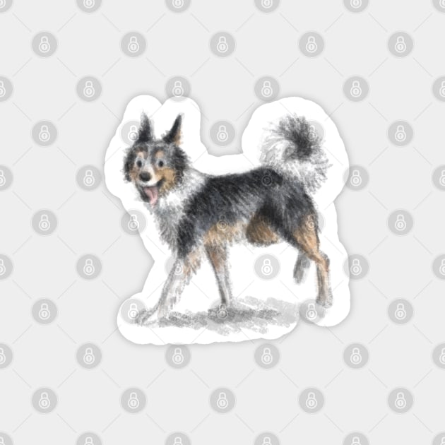 Border Collie Dog Sticker by Elspeth Rose Design